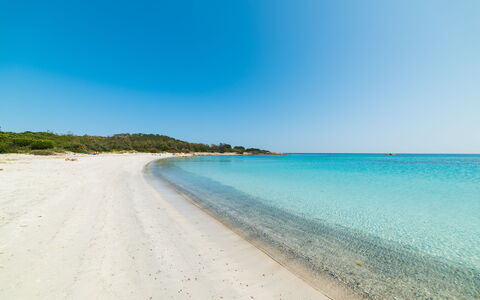 San Teodoro Apartments: Bleu, L'Eau, Plan D'Eau, Environnement Naturel, Plage, Côte, Cotiers Et Relief Océaniques, Mer, Rive, Horizon