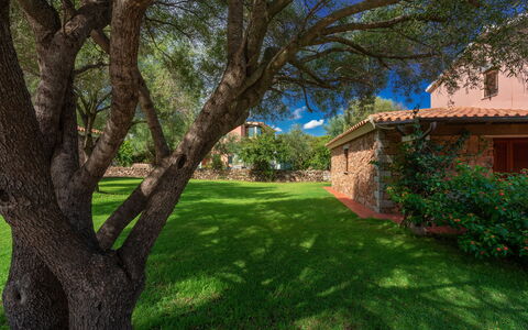 San Teodoro Apartments: Feuille, Arbre, Herbe, La Nature, Branche, Jardin, Arbuste, Paysage, Pelouse