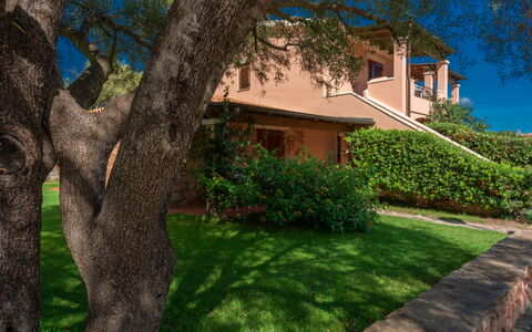 San Teodoro Apartments: Arbuste, Jardin, Biens, Aménagement Paysager, Ombre, Hacienda, Eco Hôtel, Cour, Villa, Ferme