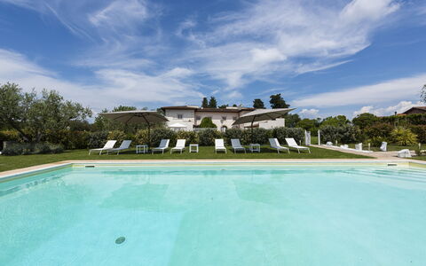 Villa Yvonne: Piscine, Jardin, Pelouse, Biens, Hacienda, Ferme, Villa, Aménagement Paysager, Recours, Cour