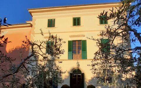 Ely Apartment In Villa, Wifi, Terricciola, Pisa: Biens, Jardin, Hacienda, Pelouse, Cour, Manoir, Aménagement Paysager, Villa, Allée, Maison Historique