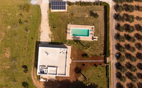 Villa Pallino: Zone Résidentielle, Paysage, Plaine, Piscine, Biens, Photographie Aérienne, Vue Du Ciel, Aménagement Paysager, Pelouse, Conception