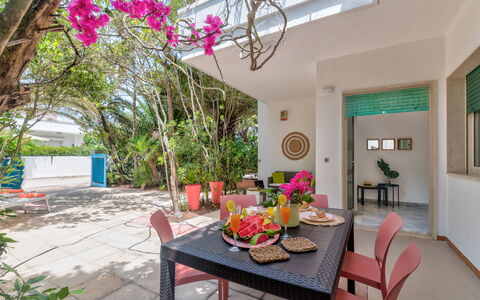 Villa Coralia: Pot De Fleur, Plante D'Appartement, Ombre, Conception, Balcon, Cour, Eco Hôtel