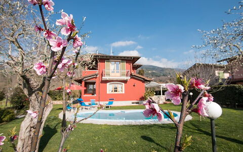 Villa Camaiore: Maison, Domicile, Jardin, Pelouse, Biens, Cour, Aménagement Paysager, Hacienda, Ferme, Arrière-Cour