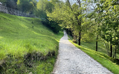 Miralago: Vert, Herbe, Paysage Naturel, Paysage, Piste, Passerelle, Couverture De Sol, Rue, Montagne Pass, Aménagement Paysager