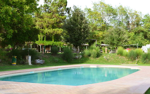 Appartamento Il Fienile Del Sole, Wifi, Perugia: Piscine, Arbre, Recours, Ombre, Jardin, Mobilier De Jardin, Loisir, Arrière-Cour, Aménagement Paysager, Caractéristique De L'Eau