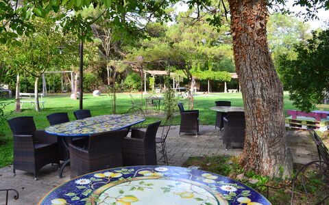 Appartamento Vele, Wifi, Near Perugia: Meubles, Table, Mobilier De Jardin, Chaise, Jardin, Tableau De Plein Air, Ombre, Pelouse, Printemps, Arrière-Cour