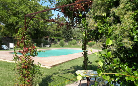 Appartamento Scuderia Del Borgo, Wifi, Perugia: Arbuste, Jardin, Ombre, Printemps, Arrière-Cour, Cour, Pelouse, Aménagement Paysager, Pot De Fleur