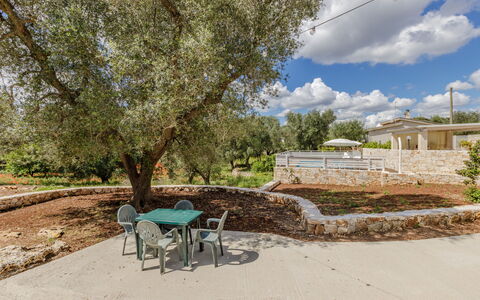 Trullo Quattro Carrini: Jardin, Ombre, Biens, Aménagement Paysager, Arrière-Cour