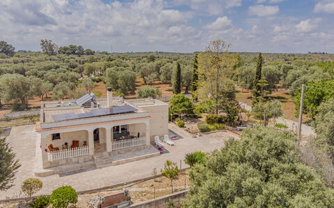 Villa Vera: Arbre, Biens, Domicile, Hacienda, Aménagement Paysager, Manoir, Villa, Allée, Ferme