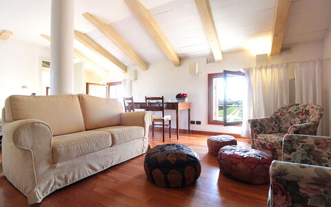 Logement:&nbsp;Terrace Apartment