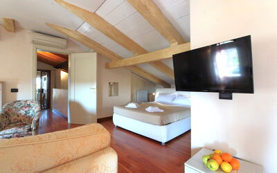 Logement:&nbsp;Terrace Apartment