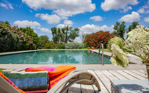 Villa Flaminia: L'Eau, Piscine, Mobilier De Jardin, Arbuste, Jardin, Meubles, Chaise, Recours, Loisir, Eco Hôtel