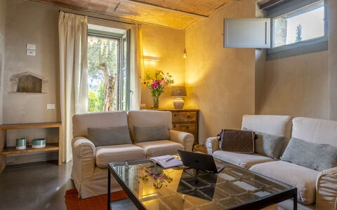 Villa Cotogna: Meubles, Design Intérieur, Mur, Sol, Pièce, Bois, Canapé, Sol, Salon, Plafond