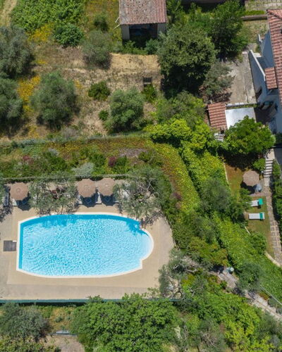 Podere Oliveta: Piscine, Recours, Mobilier De Jardin, Hacienda, Biens, Eco Hôtel, Villa, Parapluie, Ville Resort, Thermes