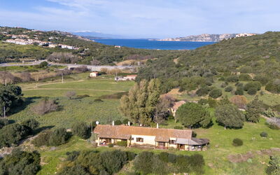 Palau 62