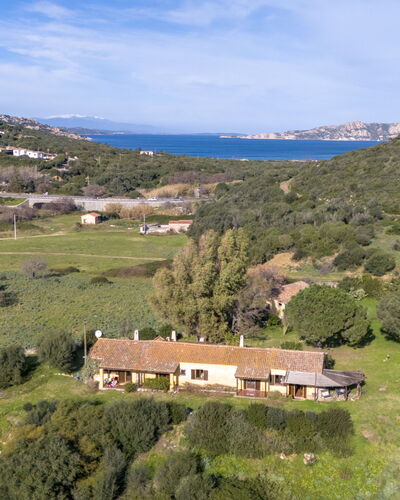 Tramontana 62.3