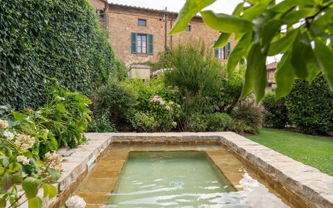 Town House Garden: Arbuste, Jardin, Caractéristique De L'Eau, Aménagement Paysager, Arrière-Cour, Haie, Cour, Piscine, Dalle, Jardin Botanique