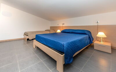 Logement:&nbsp;Gavia Trilo 6
