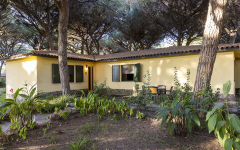 Nature & Country Resort Near The sea: Domicile, Chalet, Jardin, Biens, Arrière-Cour, Aménagement Paysager, Ombre, Cour, Pelouse, Ferme