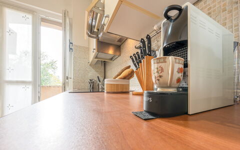 Lory House: Design Intérieur, Sol, Appareil De Cuisine, Meubles, Comptoir, Cuisine, Électroménager, Petit Appareil, Tache De Bois, Plante D'Appartement