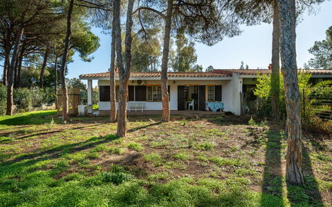 Villasimius 674: Arbre, Herbe, Feuille, Domicile, Arbuste, Maison, Lot Terre, Chalet, Biens