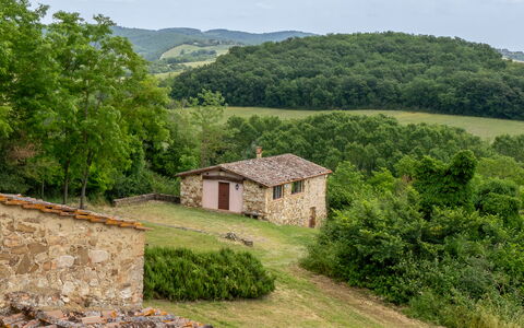 In the Heart of Chianti, Pool, Wifi, View - Lillia: Herbe, Arbre, Maison, Prairie, Zone Rurale, Chalet, Lot Terre, Ferme, Toit