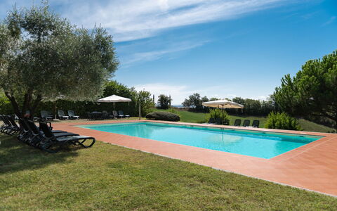 Country House In Tuscan Hills: Biens, Piscine, Hacienda, Aménagement Paysager, Recours, Plantation, Eco Hôtel, Villa, Ferme