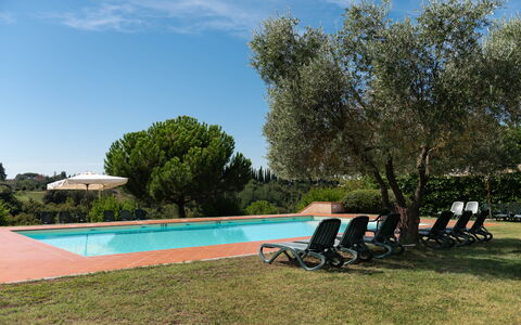 Country House In Tuscan Hills: Piscine, Recours, Hacienda, Jardin, Biens, Aménagement Paysager, Eco Hôtel, Ombre, Mobilier De Jardin, Villa