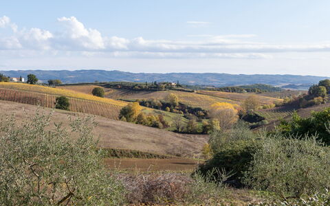 Villa L'elsa Beautiful Country Home With View: Végétation, Paysage Naturel, Prairie, Écorégion, Paysage, Plaine, Colline, Communauté Des Plantes, Lot Terre, Zone Rurale