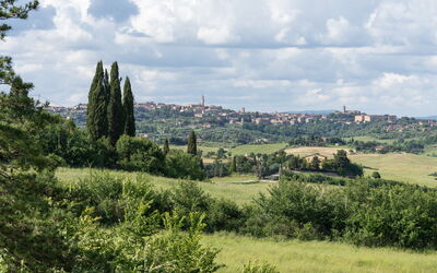 Capanna Di Elfo