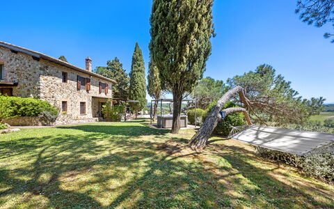 Capanna al Lago, Chianti Heritage in Vineyards: Arbre, Jardin, Biens, Aménagement Paysager, Ferme, Villa, À Feuilles Persistantes, Famille Pine