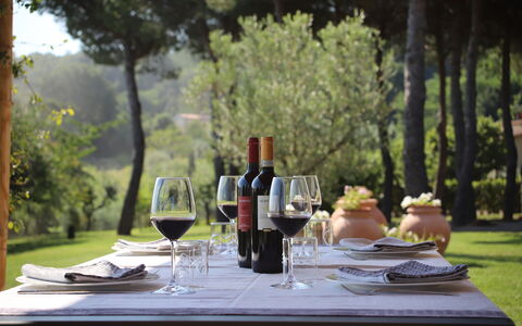 Villa Petrosa: Your Private Escape Overlooking the: Meubles, Vaisselle, Table, Drinkware, Verres À Pied, Mobilier De Jardin, Verre De Vin, Bar, Du Vin