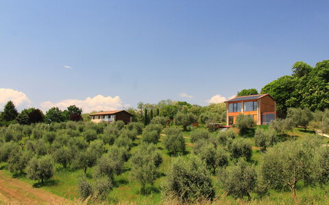 Villa Montello Pool, Jacuzzi, Ac, Wifi, Treviso: Arbre, Herbe, Arbuste, Maison, Zone Rurale, Lot Terre, Domicile, Communauté Des Plantes, Chalet