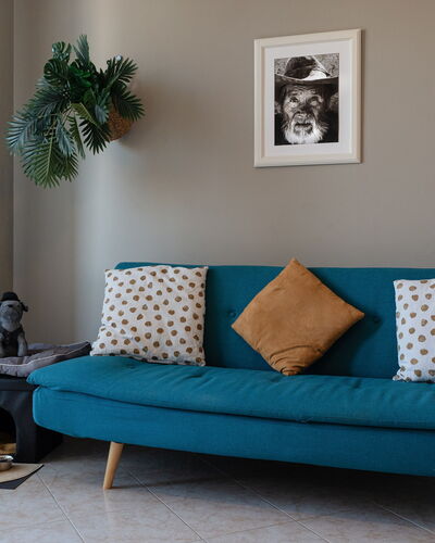 La Casa del Saggio: Meubles, Design Intérieur, Coussin, Canapé, Sol, Sol, Textile, Throw Pillow, Salon, Pièce