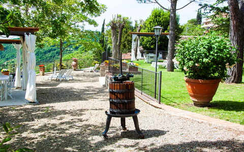 Agriturismo Casa Da Pietro: Meubles, Jardin, Mobilier De Jardin, Printemps, Pot De Fleur, Ombre, Arrière-Cour, Cour, Aménagement Paysager