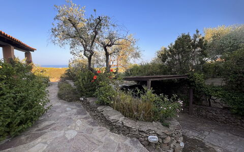 Villetta Oasi Belvedere, Budoni, Wifi, Ac: Arbuste, Jardin, Aménagement Paysager, Arrière-Cour, Dalle, Pot De Fleur