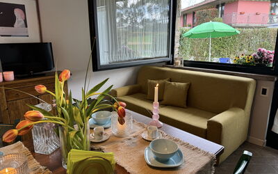 Logement:&nbsp;Beta 1