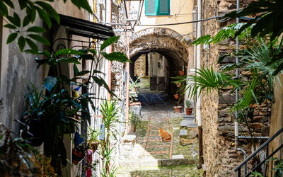La Terrazza Soleggiata di Maria