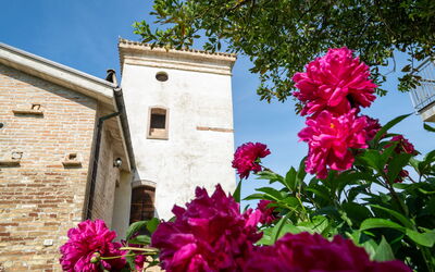 Logement:&nbsp;Torretta 648.4