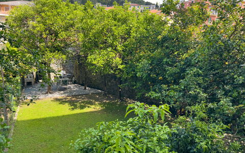 Corso Roma 15 Vacanze - Levanto: Feuille, Végétation, Arbuste, Jardin, Printemps, Suppression Des Plantes Ligneuses, Ombre, Aménagement Paysager, Arrière-Cour, Passerelle