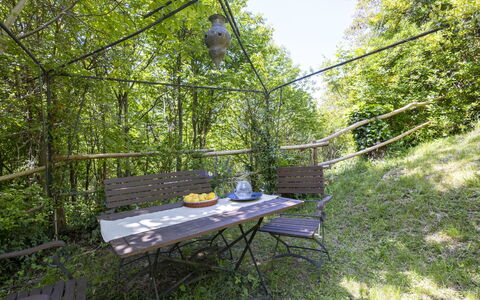 Il Castagneto: Communauté Des Plantes, Jungle, Jardin, Ombre, Des Bois, Valdivienne Forêt Tropicale Tempérée, Structure En Plein Air, Forêt Tropicale, Arrière-Cour