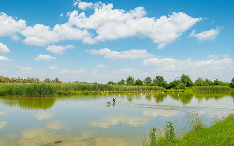 Venice Photobirding, Nature And Culture: Ciel, Bleu, L'Eau, Ressources En Eau, La Nature, Environnement Naturel, Vert, Paysage Naturel, Nuage, Le Marais