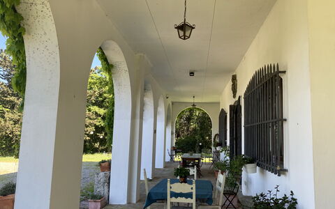Villa Albertina: Cambre, Colonne, Porte, Hacienda, Ombre, Arcade, Porche, Biens, Plante D'Appartement, Cour