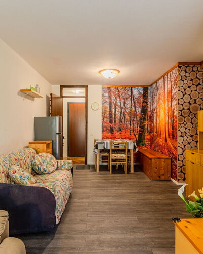 Boris: Bois, Design Intérieur, Meubles, Sol, Plafond, Sol, Pièce, Appartement, Salon, Tache De Bois