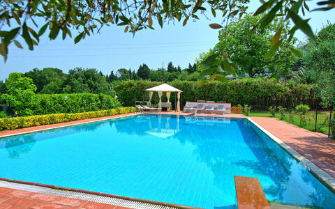 Villa Adriana: Piscine, Recours, Loisir, Eco Hôtel, Jardin, Ombre, Hacienda, Caractéristique De L'Eau, Aménagement Paysager, Mobilier De Jardin