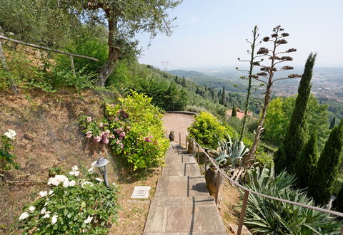 Uno Sguardo sul Mare: Végétation, Arbuste, Paysage, Communauté Des Plantes, Jardin, Couverture De Sol, Passerelle, Piste, Jardin Botanique