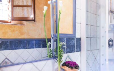 Logement:&nbsp;Bellina