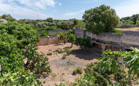 Masseria Lamagrotte By Raro Rooms: Ciel, Arbre, Végétation, Paysage, Arbuste, Communauté Des Plantes, Lot Terre, Zone Rurale, Sol