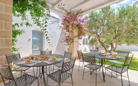 Masseria Lamagrotte By Raro Rooms: Meubles, Chaise, Table, Mobilier De Jardin, Table Cuisine Et Salle A Manger, Tableau De Plein Air, Pot De Fleur, Patio, Restaurant, Jardin
